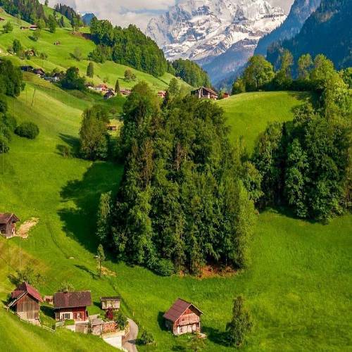  من یه دیوونم من بدون تو نمیتونم میدونم نمیمونن تنها